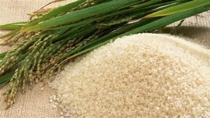 Raw white organic Komal Saul rice grains close up with wooden spoon